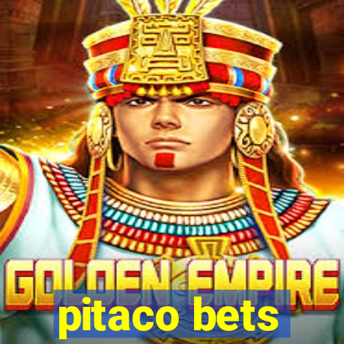 pitaco bets